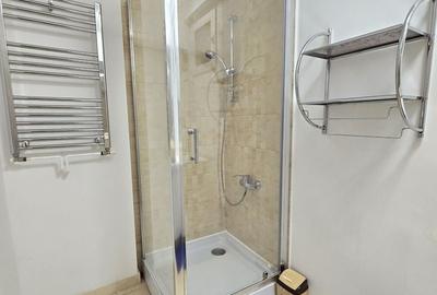 Apartament cu 2 camere decomandat, mobilat în Tineretului - 11