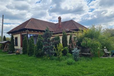 Casă individuală cu 14 camere cu Canalizare în Albeștii Pământeni - 6