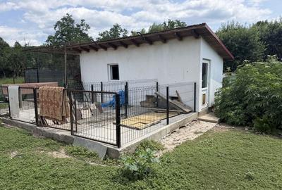 Casă cu 3 camere în Stracoș - 7