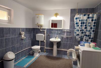 Casă individuală cu 8 camere cu Teren 3767 Mp în Bălănești - 2