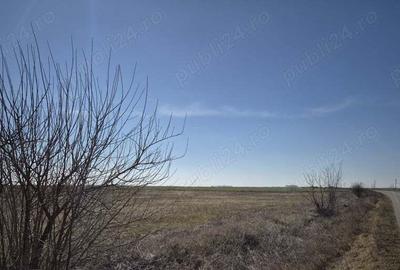 Teren de 36800 mp, în Scutelnici - 5