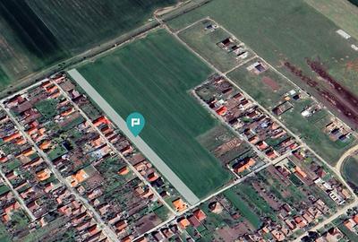 Teren agricol intravilan de 7317 mp, în Zimandu Nou - 3