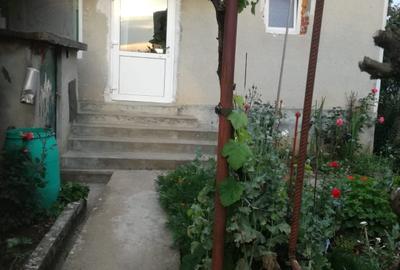 Casă cu 4 camere în Frumușeni - 4