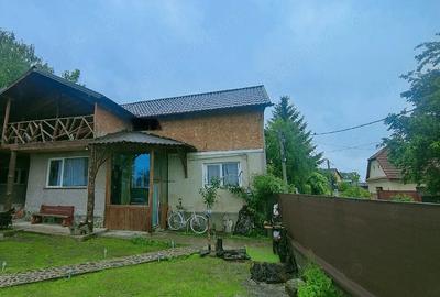 Casă cu Teren 1000 Mp în Central - 3