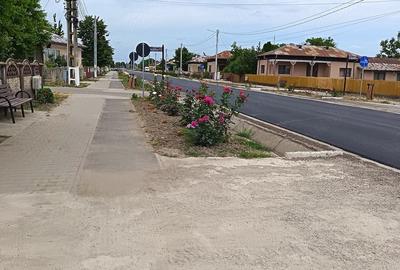 Casă cu Teren 1600 Mp în Vedea