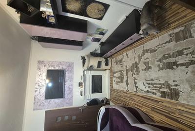 Apartament cu 2 camere semidecomandat în Valea Rosie