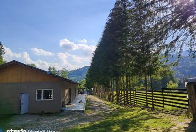 Teren de 2240 mp, în Borca