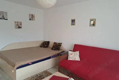 Garsonieră decomandată în Cetate - 4