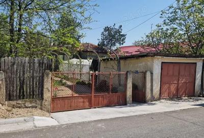 Casă cu 5 camere cu Teren 3937 Mp în Ianca - 15