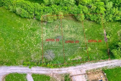 Teren Construcții intravilan de 1000 mp, în Tohănița - 2