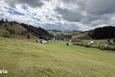 Teren de 1228 mp, în Breaza