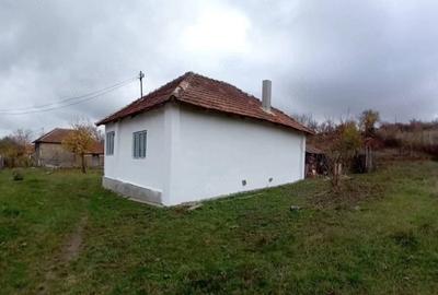 Casă cu 3 camere cu Teren 1350 Mp în Cervenița - 4