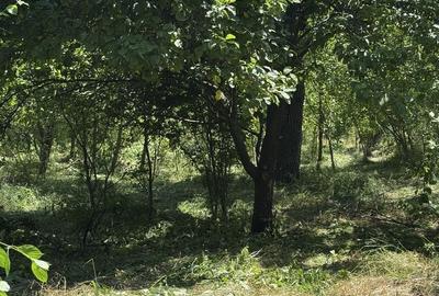 Casă cu 3 camere în Ștefănești - 4