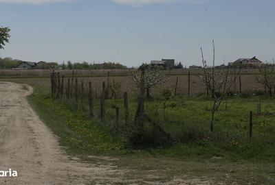 Spațiu comercial, în Miroslava - 3
