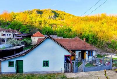 Casă cu 4 camere cu Teren 268 Mp în Boiu