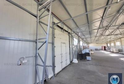 Spațiu industrial, de 378 mp, în Mihai Bravu - 5