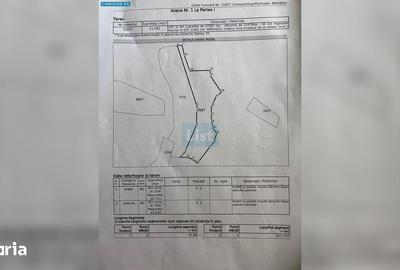 Teren de 47000 mp, în Sichevița - 1