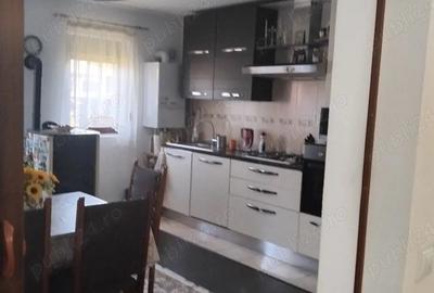 Casă cu Teren 1989 Mp în Ciritei - 1