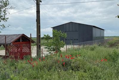 Spațiu comercial, de 297 mp, în Periferie - 3