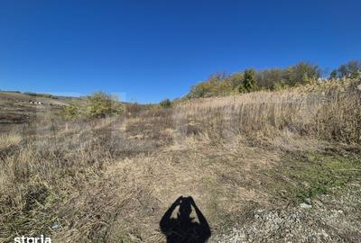 Teren de 650 mp, în Valea Lupului