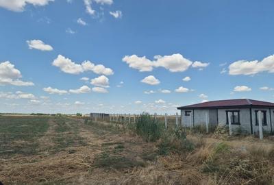 Teren Construcții extravilan de 6500 mp, în Frumușani - 19