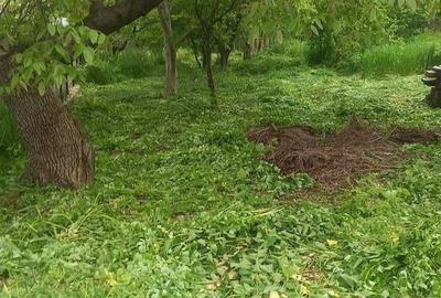 Teren de 707 mp, în Fălticeni - 1