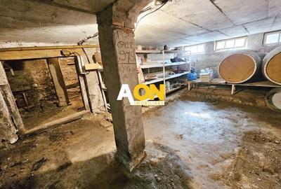 Casă individuală cu 4 camere cu Canalizare în Vințu de Jos - 18