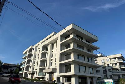 Spațiu comercial, de 176 mp, în Valea Lupului - 1