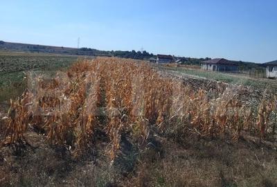 Teren de 3000 mp, în Rahova