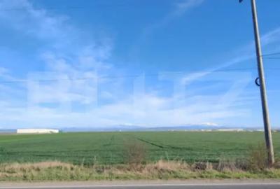 Teren de 59000 mp, în Ariceștii Rahtivani - 5