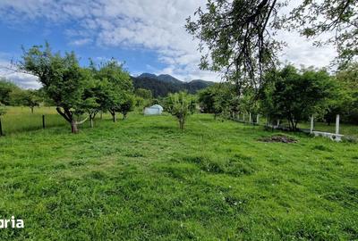 Teren de 2889 mp, în Turcheș - 2