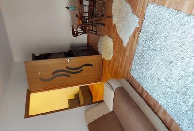 Apartament cu 2 camere semidecomandat în Vitrometan