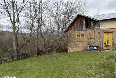 Teren de 1518 mp, în Șotrile - 13