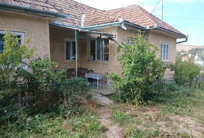Casă cu 3 camere în Șincai