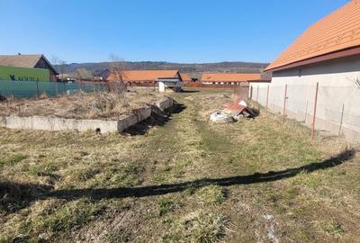 Teren de 1700 mp, în Luna - 15