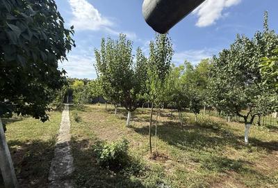 Casă cu 4 camere în Ultracentral