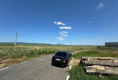 Teren Construcții intravilan de 9848 mp, în Golești - 3