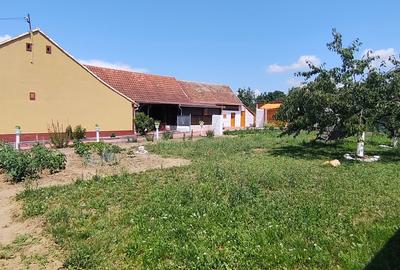Casă individuală cu 4 camere cu Teren 1070 Mp în Central - 15