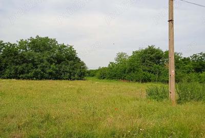 Teren de 1000 mp, în Valea Stânii - 1