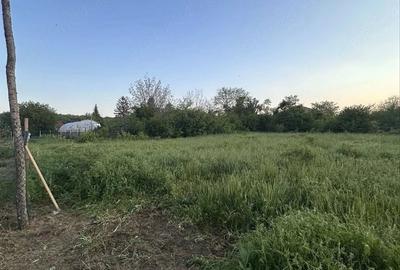 Teren de 808 mp, în Bălteni - 2