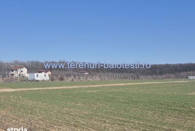 Teren de 870 mp, în Balotești - 2