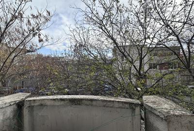 Apartament cu 2 camere decomandat, mobilat în Viilor - 14
