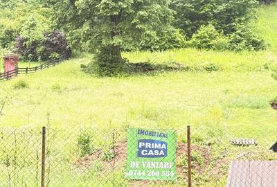 Teren Construcții intravilan de 6200 mp, în Tăuții-Măgherăuș - 5
