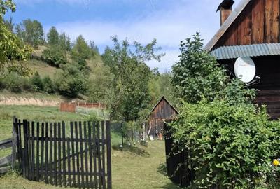 Casă cu 2 camere cu Teren 700 Mp în Vidra
