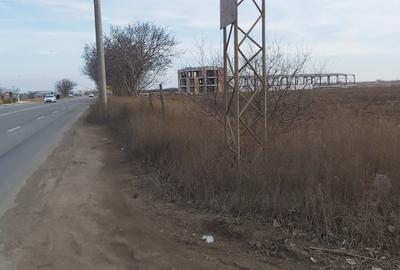 Teren agricol intravilan de 4.5 mp, în Brăilei - 19
