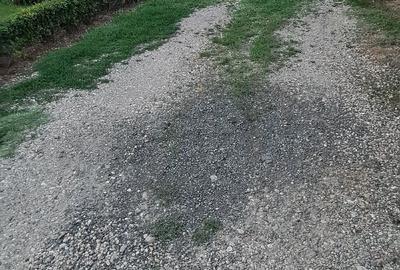 Casă cu Teren 1050 Mp în Lenauheim