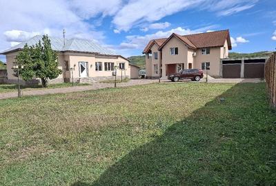 Casă cu 3 camere cu Teren 8000 Mp în Orlești