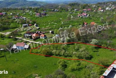 Teren de 2677 mp, în Valea Iașului - 3