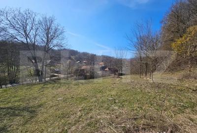 Teren de 6820 mp, în Almașu Mare - 8