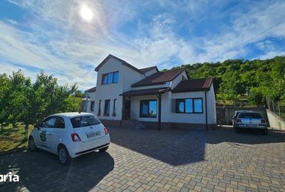 Casă cu 7 camere cu Teren 2870 Mp în Viișoara - 1